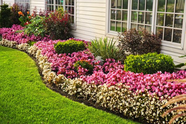 Garden Landscape Design in Georgetown
