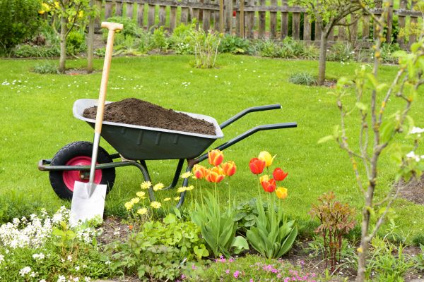 Spring Yard Renovation in Georgetown