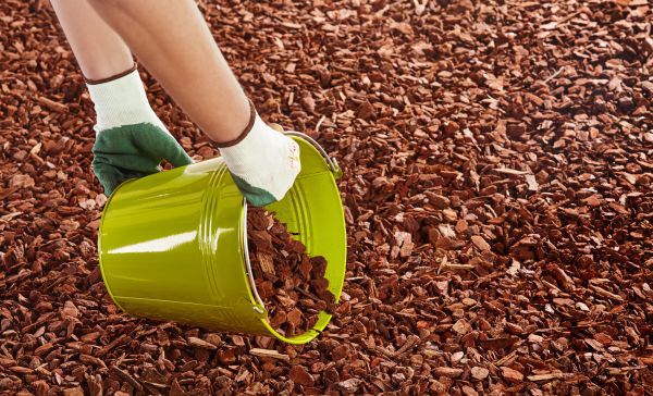Wood Chip Landscaping in Georgetown