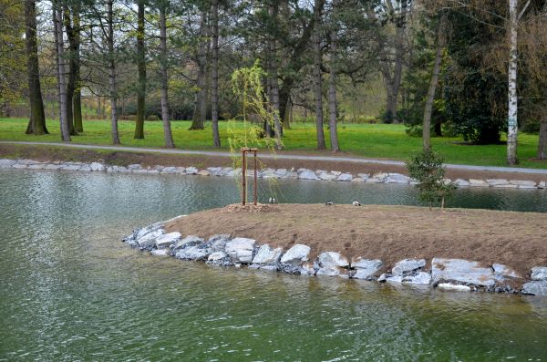 Pond Landscaping Service in Georgetown