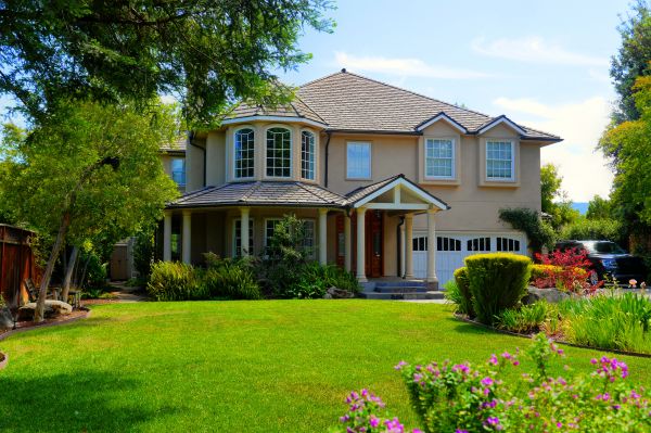 Large Yard Landscaping in Georgetown