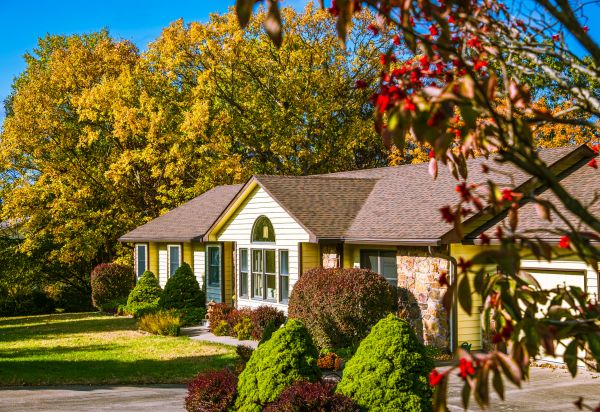 Ranch Landscaping in Georgetown