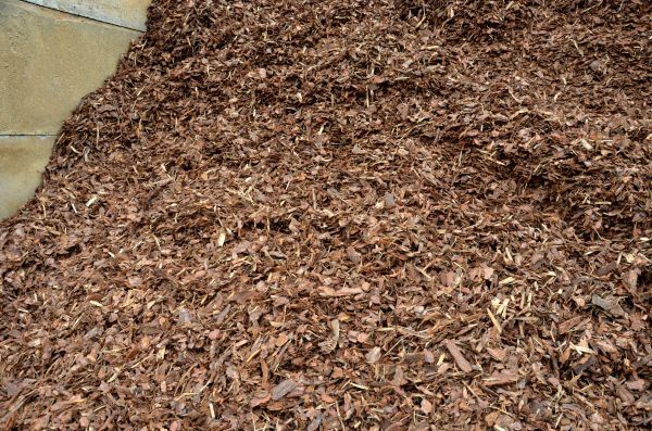 Organic Mulch Delivery in Georgetown