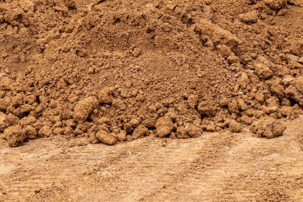 Sandy Loam Delivery in Georgetown