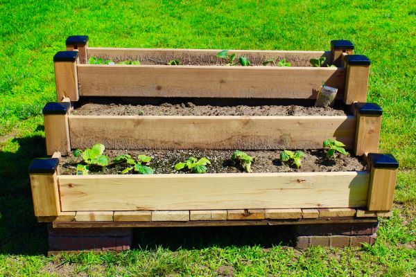 Raised Garden Bed Installation in Georgetown