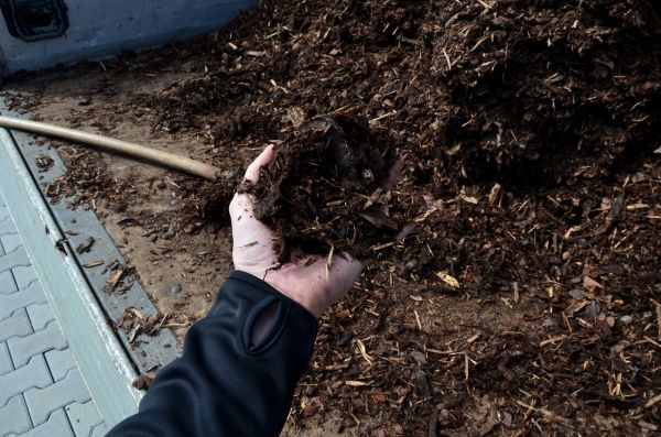 Condo Mulching in Georgetown