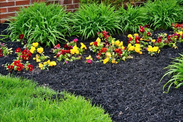 Apartment Mulching in Georgetown