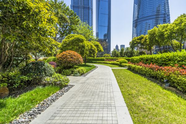 Commercial Landscaping in Georgetown